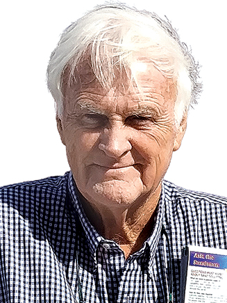 Guest Commentary | Less is more, constitutionally speaking